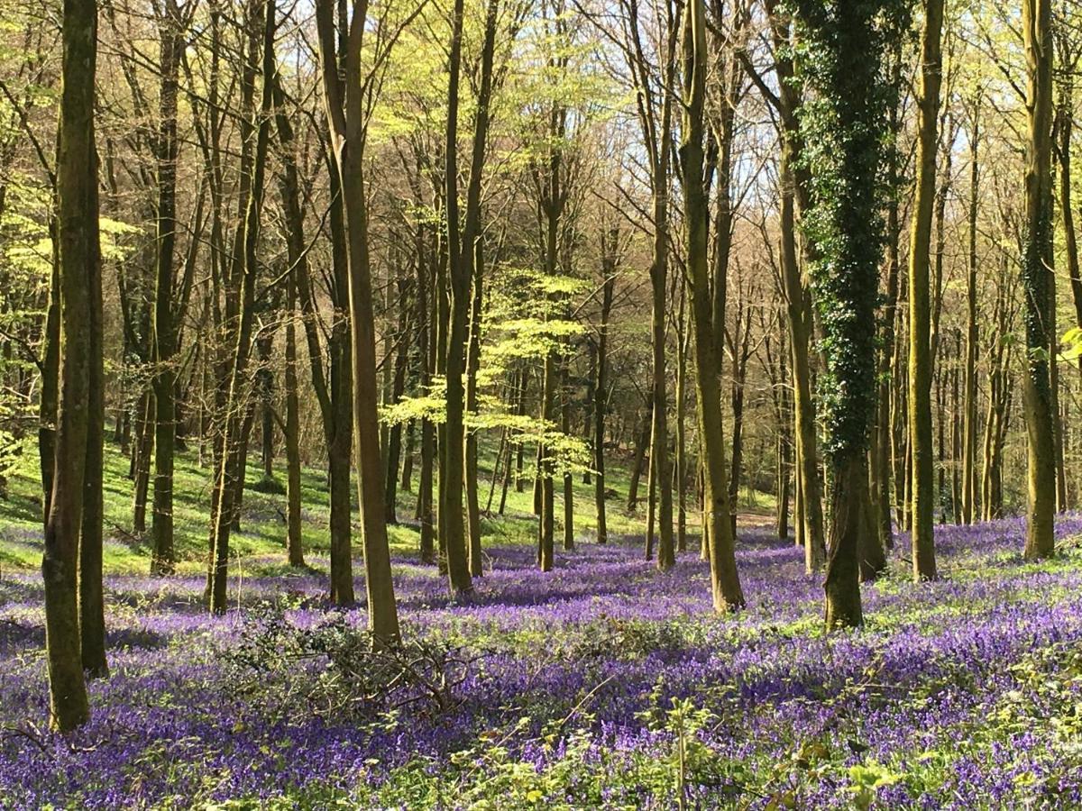 Charlton End - Goodwood Events Bed & Breakfast Chichester Bagian luar foto